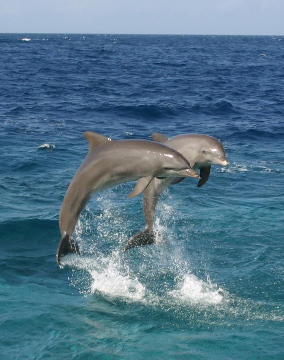 Avontuurlijk Panama 1