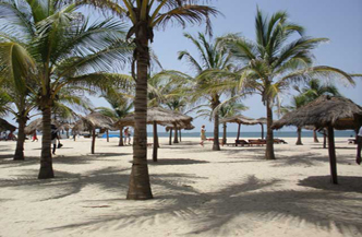 9dgn rondreis Best of Gambia 2
