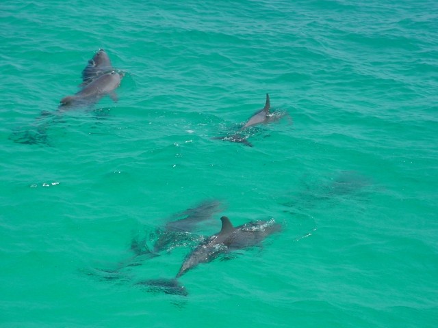 8 dagen 5 sterren programma Cairo en Sharm el Sheikh 3